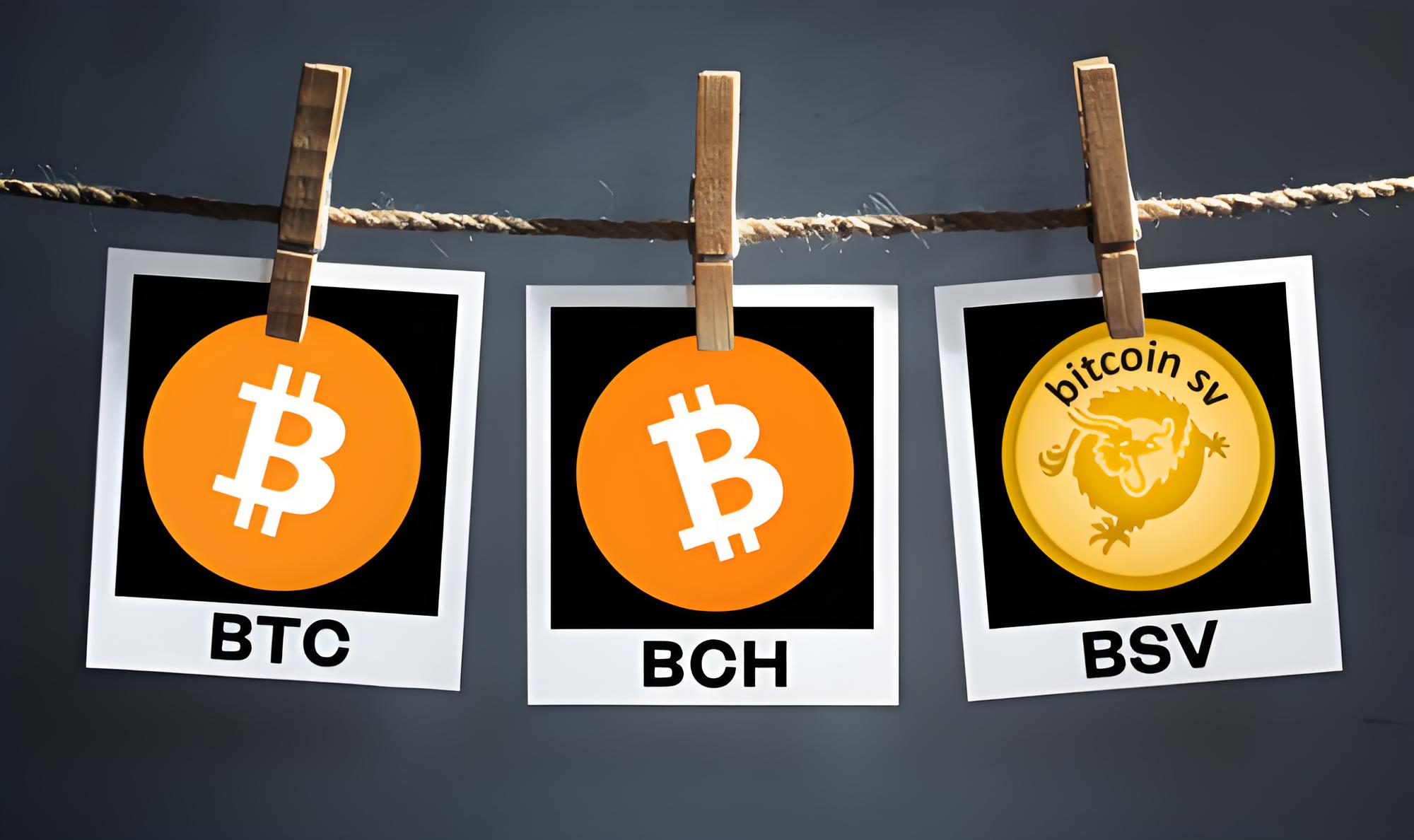 开放教育资源下载指南：如何高效合法获取，并规避版权风险？